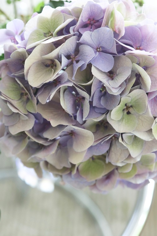 IMG_4052 2.jpegのサムネール画像